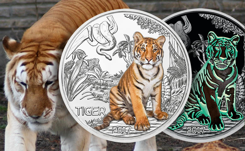 tigre colorisé